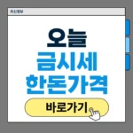오늘의 금시세