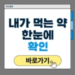 내가 먹는 약 한눈에